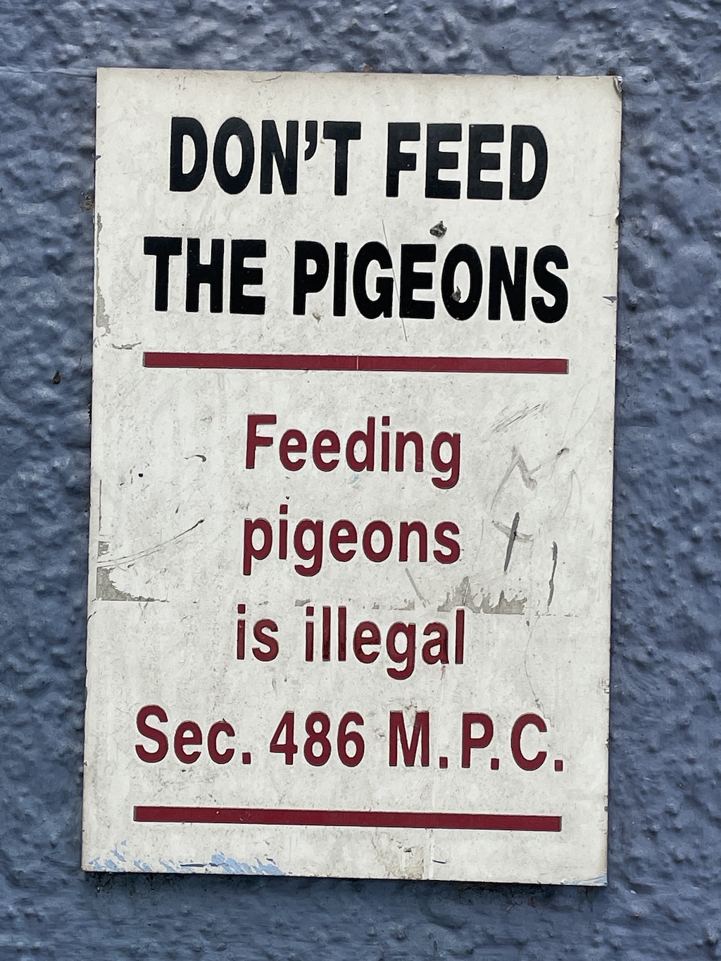 Feeding pigeons is illegal